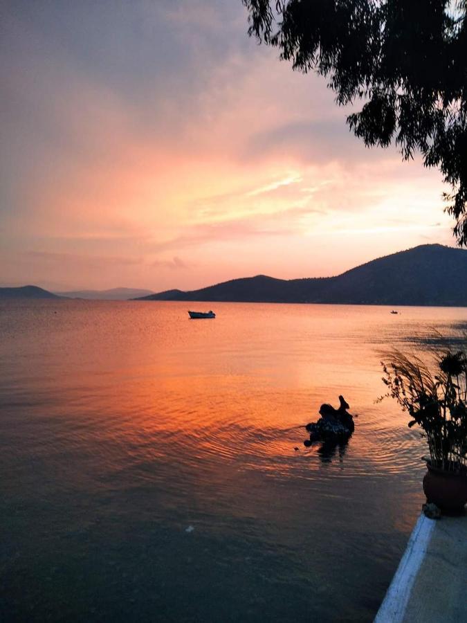 Vitamin Sea Studio Panagia  Экстерьер фото