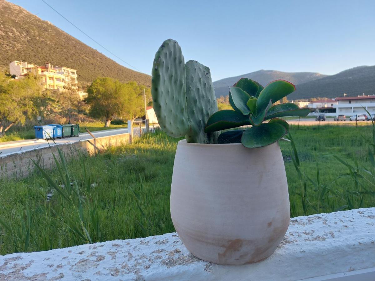 Vitamin Sea Studio Panagia  Экстерьер фото