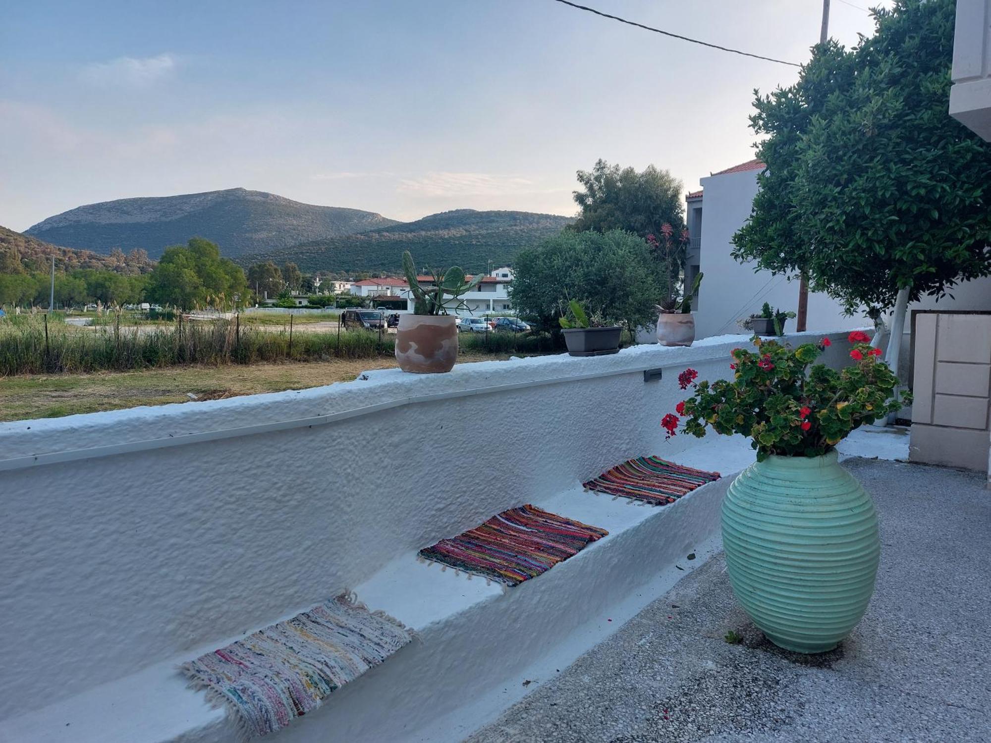 Vitamin Sea Studio Panagia  Номер фото